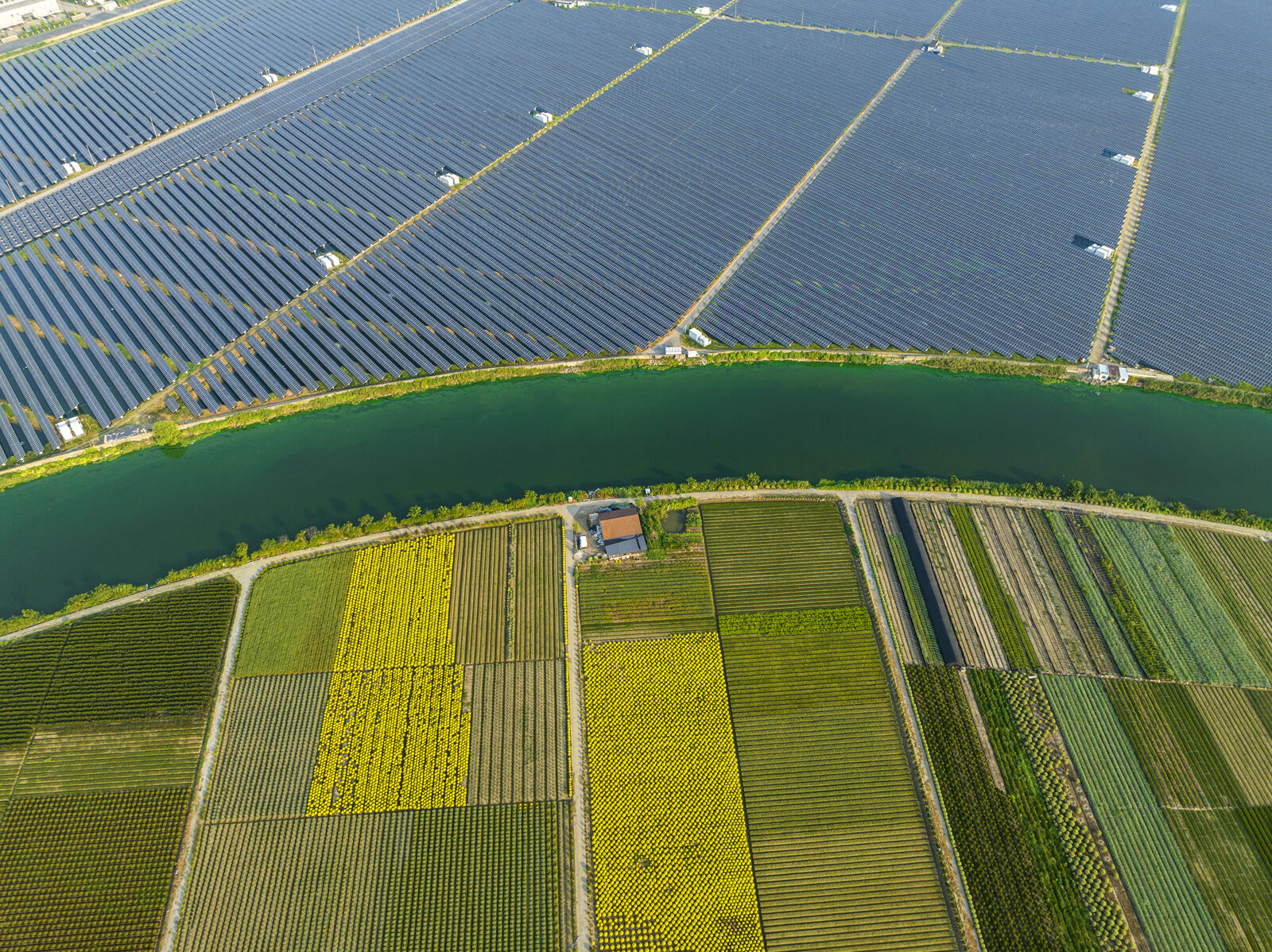 060124-gii-biz-cfra-solar-panels-p1